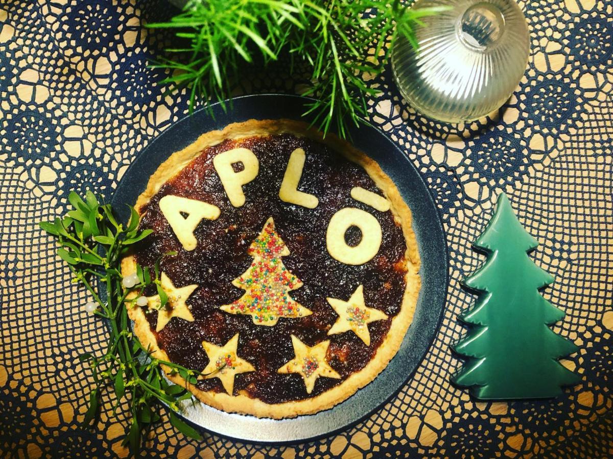 Hotel Aplo - Breakfast Experience 切尔维亚 外观 照片